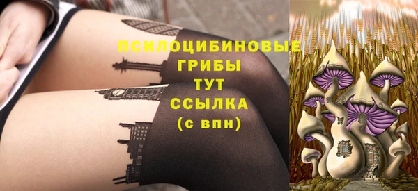 стаф Армянск