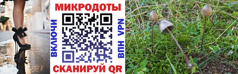 Галлюциногенные грибы Psilocybine cubensis  MEGA ссылки  Шацк 